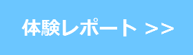 体験レポート