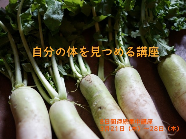 自分の体を見つめる講座